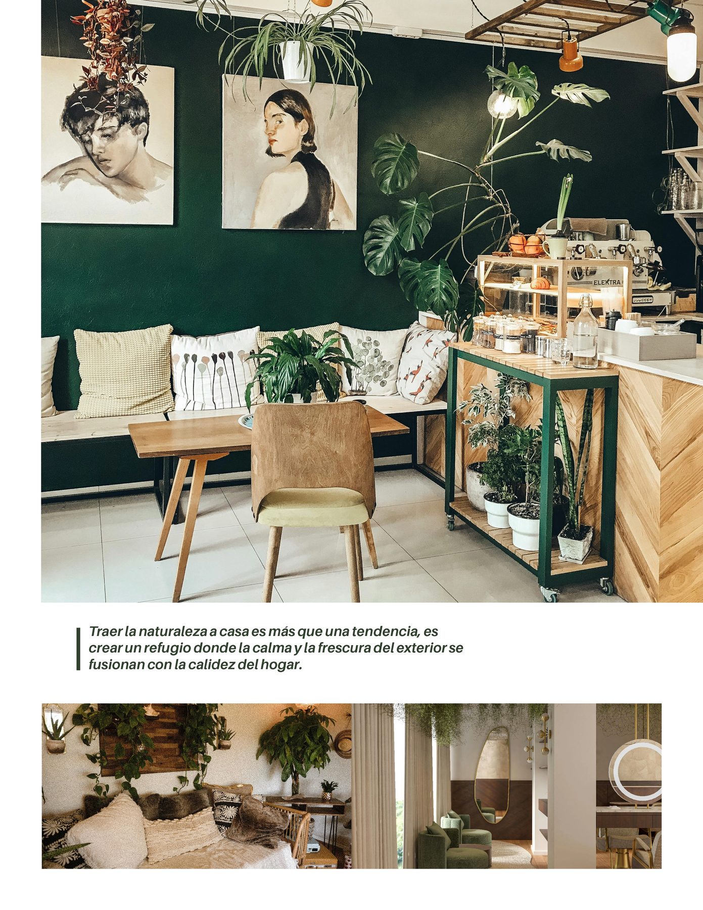 Revista Ambivalente